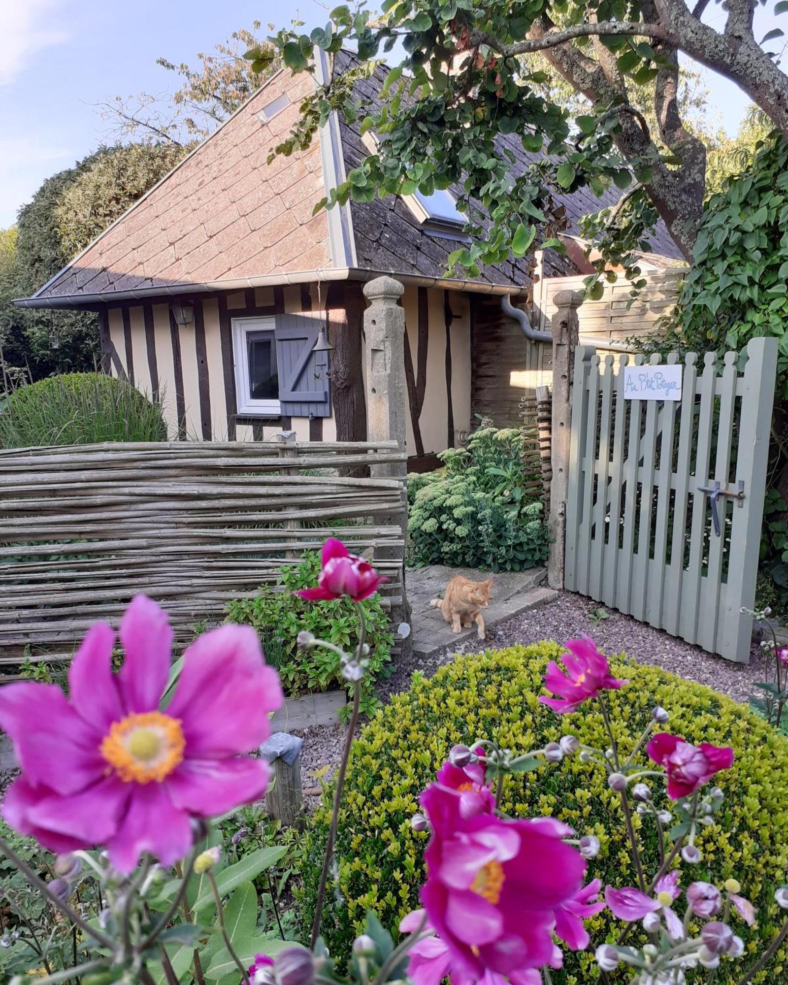 Hotel Au P'Tit Jardin Saint-Sylvestre-de-Cormeilles Esterno foto